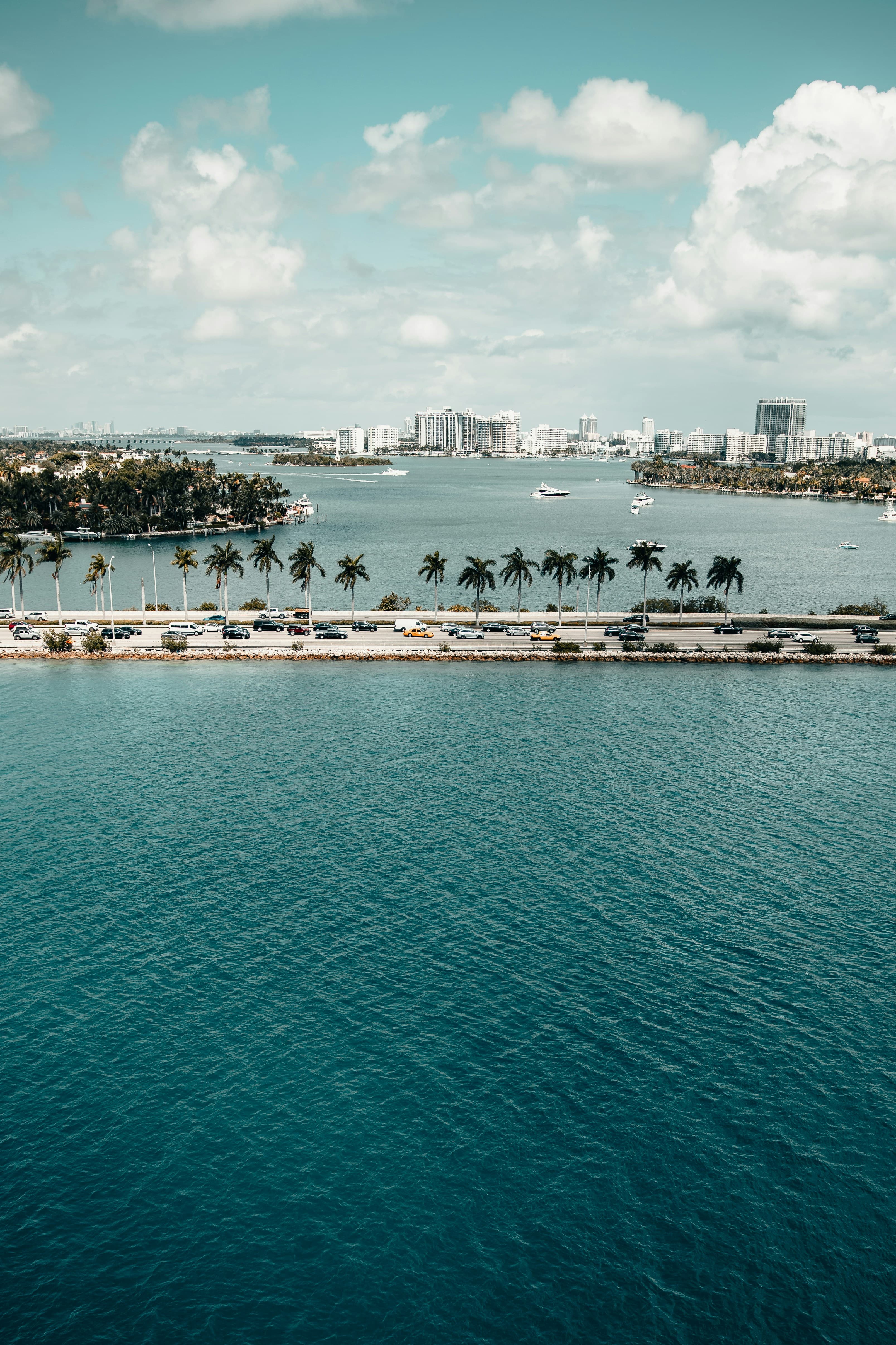 The reef